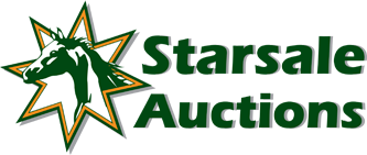 Starsale auctions logo