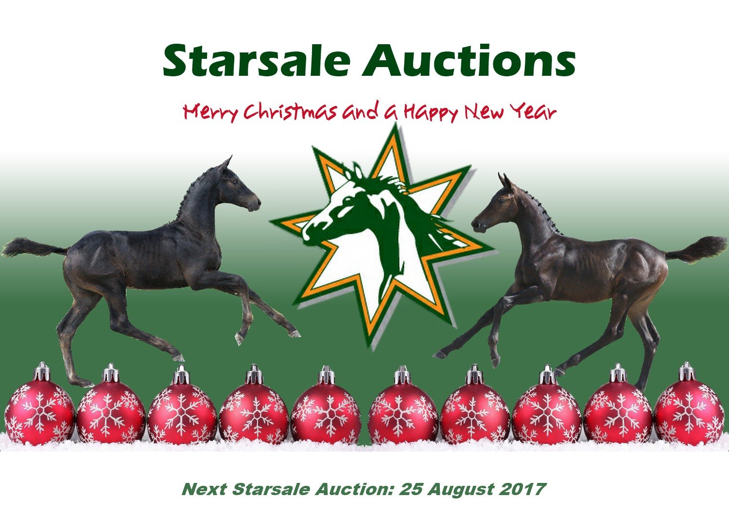 Starsale wenst u Fijne Feestdagen!